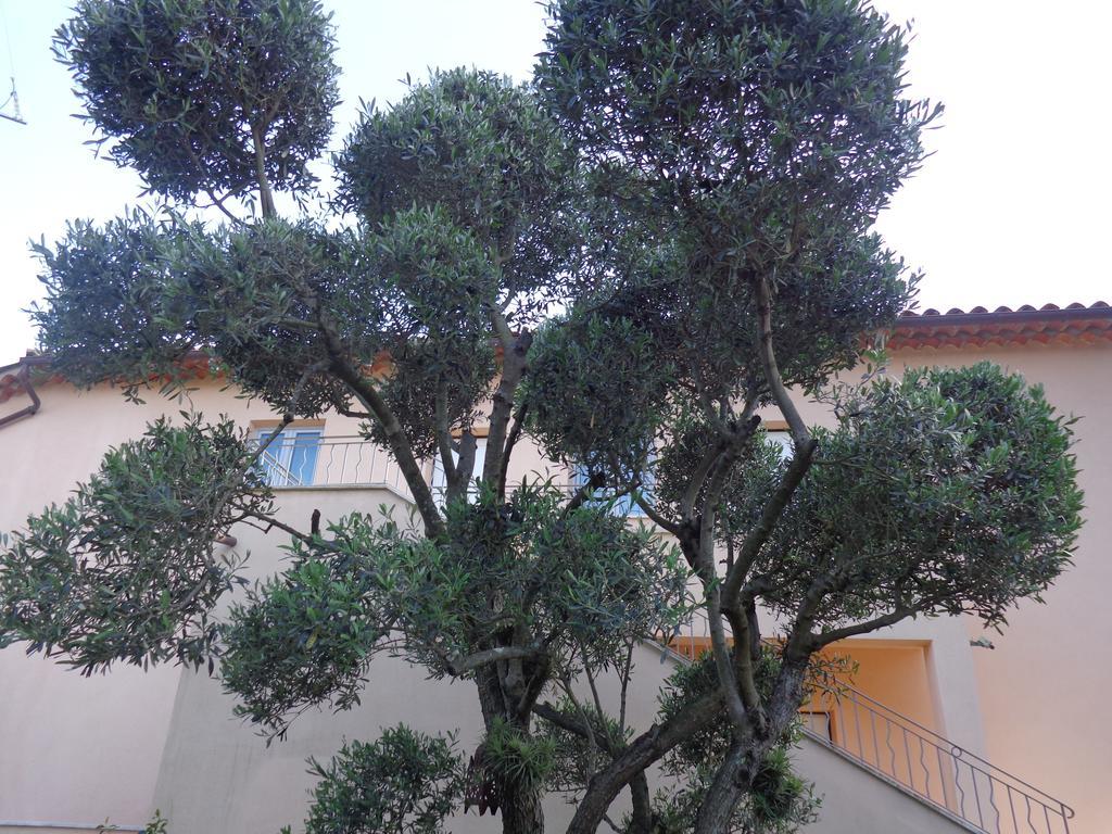 Appartement Villa Angelina Grimaud Eksteriør billede